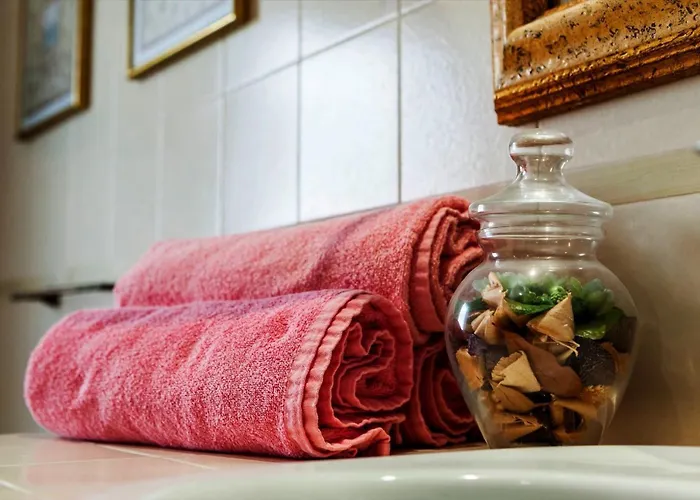 Amoros * 卡拉纳雅达