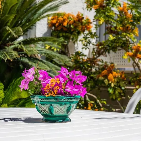 Сasa de vacaciones Amorós